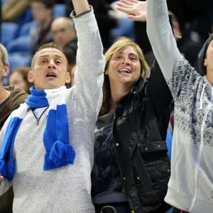 Electric Atmosphere: Brighton & Hove Albion FC Fans Roar at Amex Stadium (2013-14: Sheffield Wednesday Game)