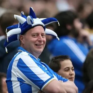 The Electric Atmosphere of Brighton & Hove Albion FC's Amex Stadium (2012-2013): A Season in Crowd Shots The Electric Atmosphere of Brighton & Hove Albion FC's Amex Stadium (2012-2013): A Season in Crowd Shots