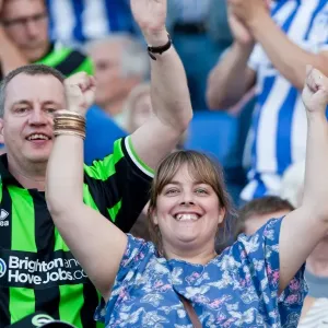 Electric Atmosphere: Crowd Shots at Brighton & Hove Albion's Amex Stadium (2012-2013) Electric Atmosphere: Crowd Shots at Brighton & Hove Albion's Amex Stadium (2012-2013)