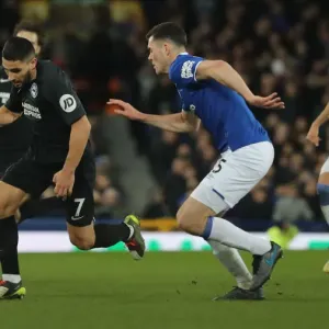 Eleventh January 2020: Everton vs. Brighton & Hove Albion - Premier League Clash at Goodison Park Eleventh January 2020: Everton vs. Brighton & Hove Albion - Premier League Clash at Goodison Park