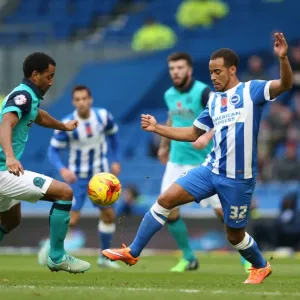 Elliott Bennett in Action: Brighton & Hove Albion vs. Wigan Athletic (Nov 2014)