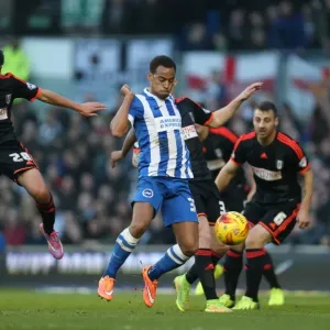Elliott Bennett in Action: Brighton & Hove Albion vs. Fulham (29NOV14)