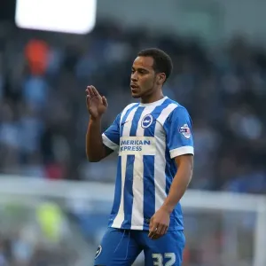 Elliott Bennett in Action: Brighton & Hove Albion vs Fulham (29NOV14)