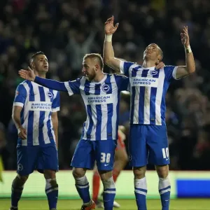 Exciting Championship Showdown: Brighton and Hove Albion vs. Fulham (15th April 2016) Exciting Championship Showdown: Brighton and Hove Albion vs. Fulham (15th April 2016)