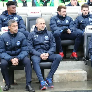 FA Cup 3rd Round: Brighton and Hove Albion vs Milton Keynes Dons Clash at American Express Community Stadium (30DEC16) FA Cup 3rd Round: Brighton and Hove Albion vs Milton Keynes Dons Clash at American Express Community Stadium (30DEC16)