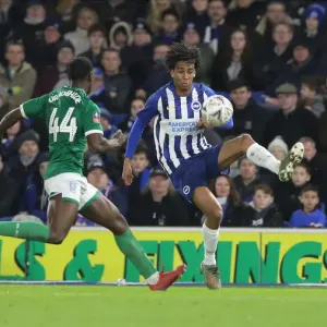 FA Cup 3rd Round: Brighton & Hove Albion vs. Sheffield Wednesday at American Express Community Stadium (04.01.2020) FA Cup 3rd Round: Brighton & Hove Albion vs. Sheffield Wednesday at American Express Community Stadium (04.01.2020)