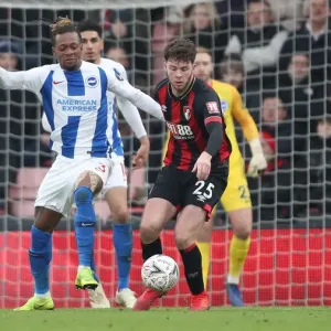 FA Cup Third Round: AFC Bournemouth vs. Brighton and Hove Albion, 5th January 2019 - Intense Match Action at Vitality Stadium FA Cup Third Round: AFC Bournemouth vs. Brighton and Hove Albion, 5th January 2019 - Intense Match Action at Vitality Stadium