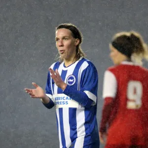 FA Womens Premier League: Brighton & Hove Albion Women vs Charlton Athletic Ladies Clash at American Express Community Stadium (December 2015) FA Womens Premier League: Brighton & Hove Albion Women vs Charlton Athletic Ladies Clash at American Express Community Stadium (December 2015)