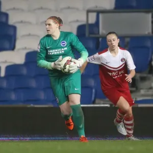 FA Women's Premier League: Brighton & Hove Albion vs Charlton Athletic Clash at American Express Community Stadium (December 2015) FA Women's Premier League: Brighton & Hove Albion vs Charlton Athletic Clash at American Express Community Stadium (December 2015)