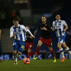 A Fight at the Amex: Brighton & Hove Albion vs. Reading (FA Cup), 2013-14 Season A Fight at the Amex: Brighton & Hove Albion vs. Reading (FA Cup), 2013-14 Season