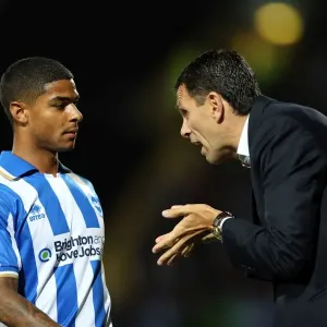 A Fight in Football History: Brighton & Hove Albion vs. Watford (September 18, 2012) A Fight in Football History: Brighton & Hove Albion vs. Watford (September 18, 2012)