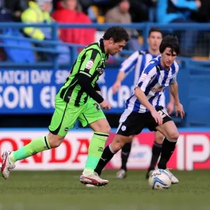 Fight for Victory: Brighton & Hove Albion vs Sheffield Wednesday (Away, 02-02-2013)