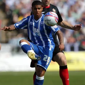 Focused and Determined: Liam Bridcutt of Brighton and Hove Albion FC Focused and Determined: Liam Bridcutt of Brighton and Hove Albion FC