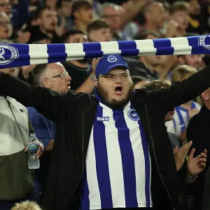Football Fans Football Supporters With Scarves Football Fans Football Supporters With Scarves