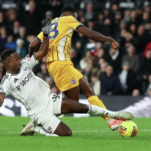 Fulham v Brighton and Hove Albion<br> Premier League<br> 24JAN26