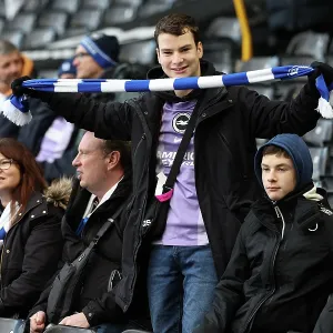 Fulham v Brighton and Hove Albion<br> Premier League<br> 24JAN26