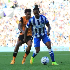 Gaetan Bong Defends for Brighton and Hove Albion Against Hull City, Sky Bet Championship 2015 Gaetan Bong Defends for Brighton and Hove Albion Against Hull City, Sky Bet Championship 2015