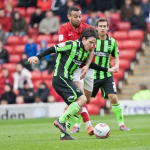 Gai Assulin vs. Craig Davies: Intense Moment in the Npower Championship Clash between Barnsley and Brighton & Hove Albion (April 28, 2012) Gai Assulin vs. Craig Davies: Intense Moment in the Npower Championship Clash between Barnsley and Brighton & Hove Albion (April 28, 2012)