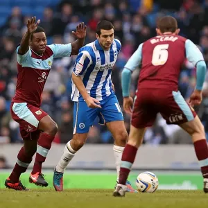 Gary Dicker in action during Brighton & Hove Albion v Burnley, Npower championship, Amex Stadium, Brighton Gary Dicker in action during Brighton & Hove Albion v Burnley, Npower championship, Amex Stadium, Brighton