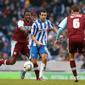Gary Dicker in Action: Brighton & Hove Albion vs Burnley, Npower Championship, Amex Stadium (February 23, 2013) Gary Dicker in Action: Brighton & Hove Albion vs Burnley, Npower Championship, Amex Stadium (February 23, 2013)