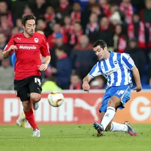 Gary Dicker of Brighton & Hove Albion in Action Against Cardiff City, Npower Championship, February 19, 2013 Gary Dicker of Brighton & Hove Albion in Action Against Cardiff City, Npower Championship, February 19, 2013