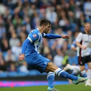 Gary Gardner in Action: Brighton & Hove Albion vs Rotherham United at American Express Community Stadium (October 25, 2014) Gary Gardner in Action: Brighton & Hove Albion vs Rotherham United at American Express Community Stadium (October 25, 2014)