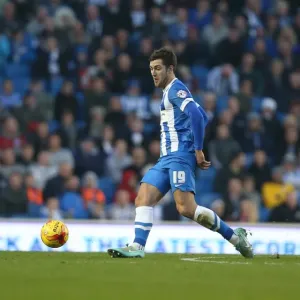 Gary Gardner in Action: Brighton & Hove Albion vs Fulham Championship Clash (29NOV14)