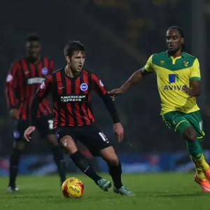 Gary Gardner in Action: Norwich City vs. Brighton & Hove Albion, Carrow Road, 2014 Gary Gardner in Action: Norwich City vs. Brighton & Hove Albion, Carrow Road, 2014