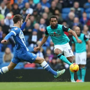 Gary Gardner Clash: Brighton & Hove Albion vs. Wigan Athletic Championship Showdown (Nov 2014)