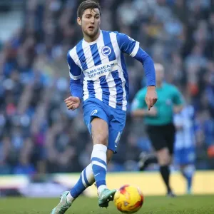 Gary Gardner Clash: Brighton & Hove Albion vs Fulham Championship Showdown, 29 November 2014