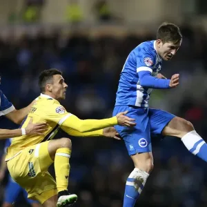 Gary Gardner's Clash: Brighton & Hove Albion vs. Millwall Championship Showdown (12DEC14)