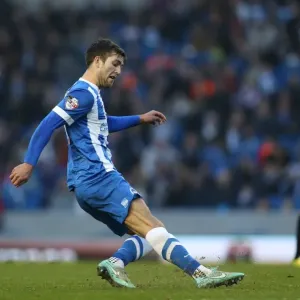 Gary Gardner's Clash: Brighton & Hove Albion vs Fulham Championship Showdown (29NOV14)