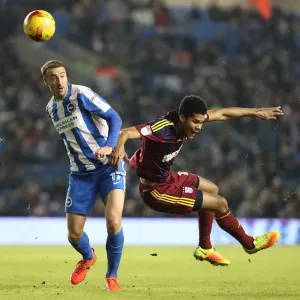 Glenn Murray in Action: Brighton & Hove Albion vs. Ipswich Town, EFL Sky Bet Championship (14 February 2017)