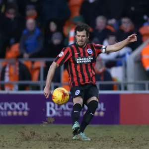 Gordon Greer Leads Brighton and Hove Albion in Championship Clash against Blackpool (31Jan15) Gordon Greer Leads Brighton and Hove Albion in Championship Clash against Blackpool (31Jan15)
