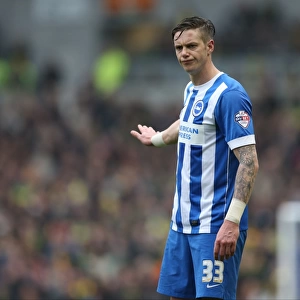 Greg Halford in Action: Brighton and Hove Albion vs. Norwich City, Sky Bet Championship, 3rd April 2015