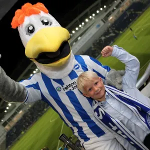 Gully of Brighton and Hove Albion: A Heartwarming Reunion with His Adoring Fans Gully of Brighton and Hove Albion: A Heartwarming Reunion with His Adoring Fans