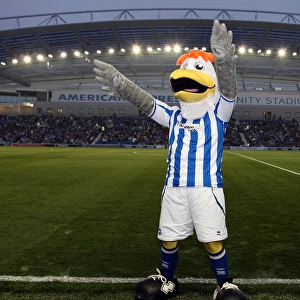 Gully, Sammy, and Sally: The Brighton and Hove Albion Trio
