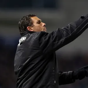 Gus Poyet in Action: Brighton & Hove Albion vs Charlton Athletic, 2013
