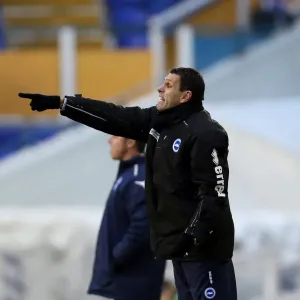 Gus Poyet: Brighton & Hove Albion Manager Leads Team Against Birmingham City, Npower Championship (January 2013)