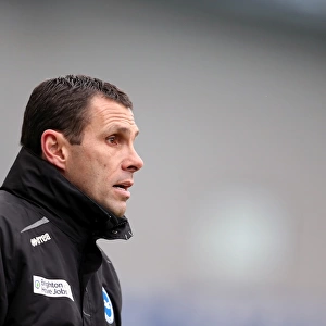 Gus Poyet: Brighton & Hove Albion Manager in Npower Championship Clash Against Burnley at Amex Stadium (February 23, 2013)