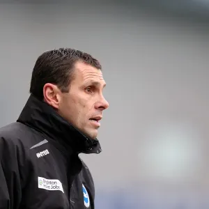 Gus Poyet: Brighton & Hove Albion Manager in Npower Championship Clash Against Burnley at Amex Stadium (February 23, 2013) Gus Poyet: Brighton & Hove Albion Manager in Npower Championship Clash Against Burnley at Amex Stadium (February 23, 2013)