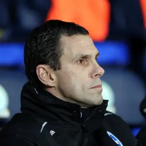 Gus Poyet Leads Brighton & Hove Albion Against Blackburn Rovers, Npower Championship, January 22, 2013 Gus Poyet Leads Brighton & Hove Albion Against Blackburn Rovers, Npower Championship, January 22, 2013