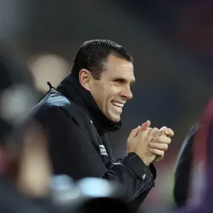 Gus Poyet Leads Brighton & Hove Albion at Cardiff City Stadium, Npower Championship, February 19, 2013 Gus Poyet Leads Brighton & Hove Albion at Cardiff City Stadium, Npower Championship, February 19, 2013