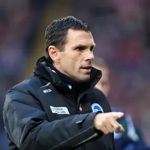 Gus Poyet Leads Brighton & Hove Albion Against Crystal Palace, Npower Championship, December 1, 2012