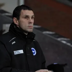 Gus Poyet Leads Brighton & Hove Albion at Ewood Park, January 22, 2013 (Blackburn Rovers vs Brighton) Gus Poyet Leads Brighton & Hove Albion at Ewood Park, January 22, 2013 (Blackburn Rovers vs Brighton)
