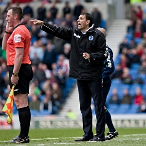 Gus Poyet Leads Brighton & Hove Albion in Npower Championship Clash Against Middlesbrough, March 2012