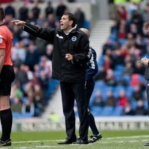 Gus Poyet Leads Brighton & Hove Albion in Npower Championship Clash Against Middlesbrough, March 2012