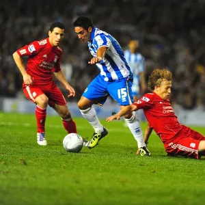 A Home Battle: Brighton & Hove Albion vs. Liverpool (2011-12 Season)