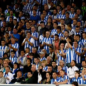 A Home Battle: Brighton & Hove Albion vs. Cardiff City (2012-13 Season) A Home Battle: Brighton & Hove Albion vs. Cardiff City (2012-13 Season)