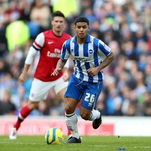 A Home Battle: Brighton & Hove Albion vs Arsenal (2012-13 Season)